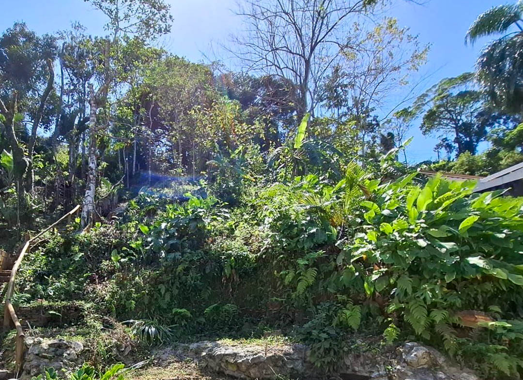 Terreno 1.200 m2 vista mar a venda na praia da Enseada em Ubatuba - Projeto aprovado-2