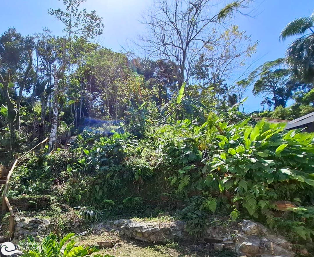 Terreno 1.200 m2 vista mar a venda na praia da Enseada em Ubatuba - Projeto aprovado-2