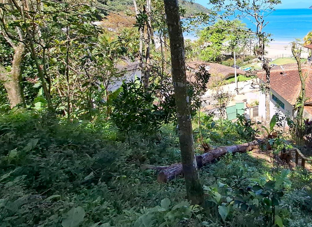 Terreno 1.200 m2 vista mar a venda na praia da Enseada em Ubatuba - Projeto aprovado-7